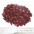 Hot Sell Dehydrated Red Beet Cubes